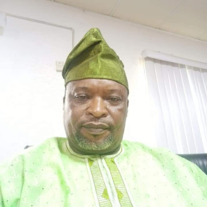 Chief (Dcn) John Bukola Olayinka, Ogun State Chairman